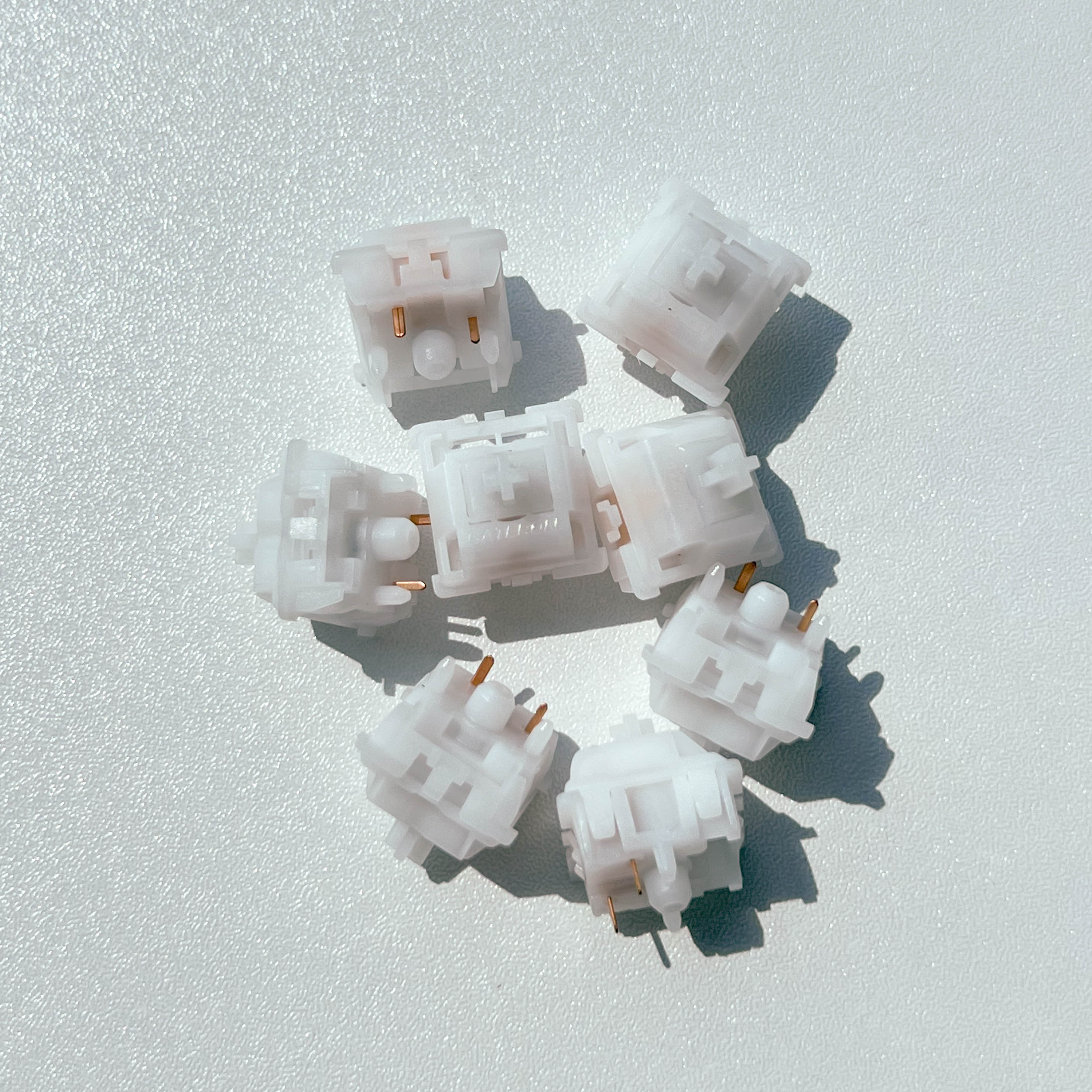 Gateron Snow Rabbit Switch